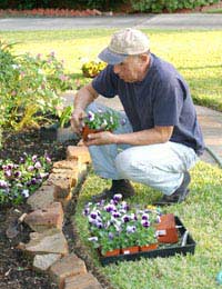Hiring Help Gardener Service Lawn Doctor
